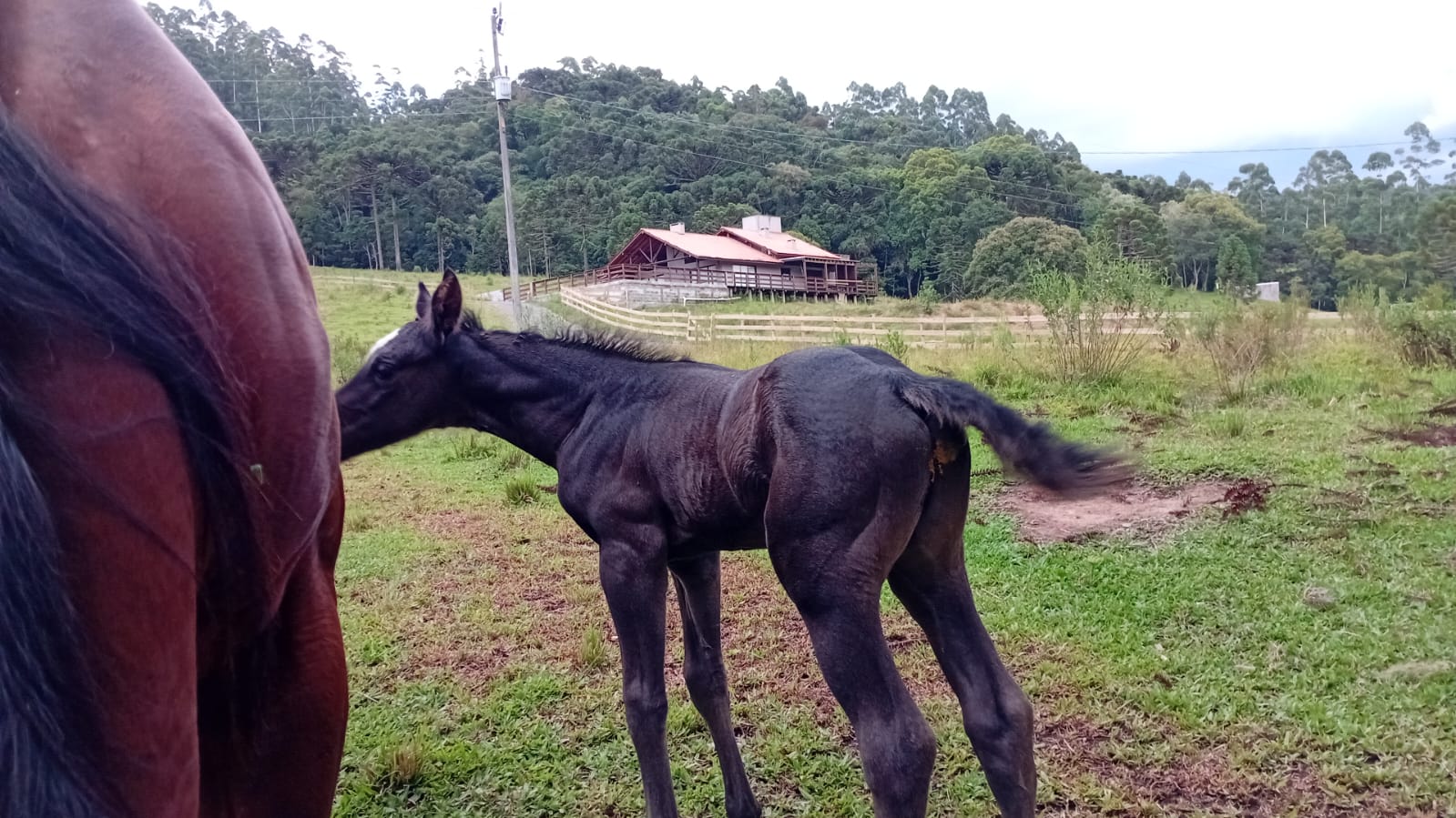 A ESCOLHER - Imagem 3